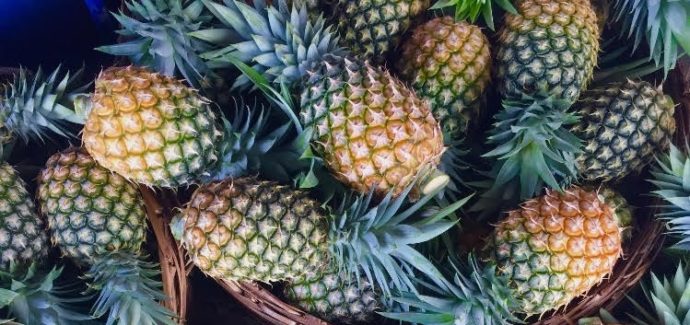 sahelia fruits biologiques